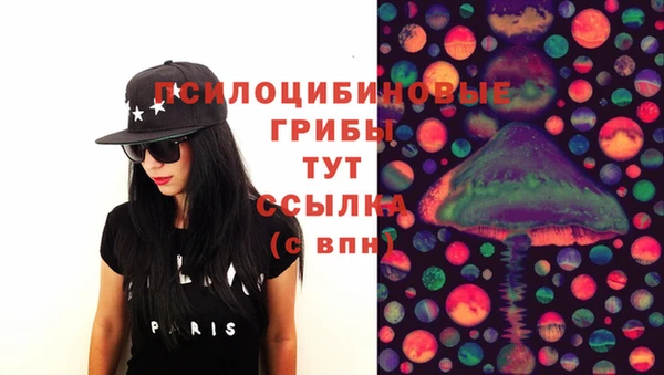 круглые Ельня